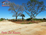 FRACCIONAMIENTO VISTA LOS SAUCES