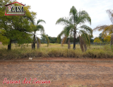 PASEOS DEL ENCINO, del crucero al Rancho San Pablo, dos y medio kilómetros adelante