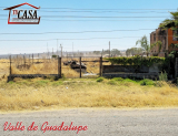 VALLE DE GUADALUPE