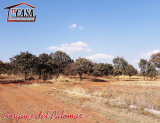 BOSQUES DEL PALOMAR