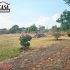 TEQUILILLA / TERRENO 2