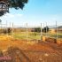 PASEOS DEL ENCINO, del crucero al Rancho San Pablo, dos y medio kilómetros adelante